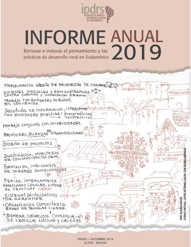 IPDRS Memoria Informe 2019