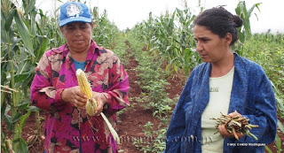 mujeres paraguay dia internacional de la mujer rural